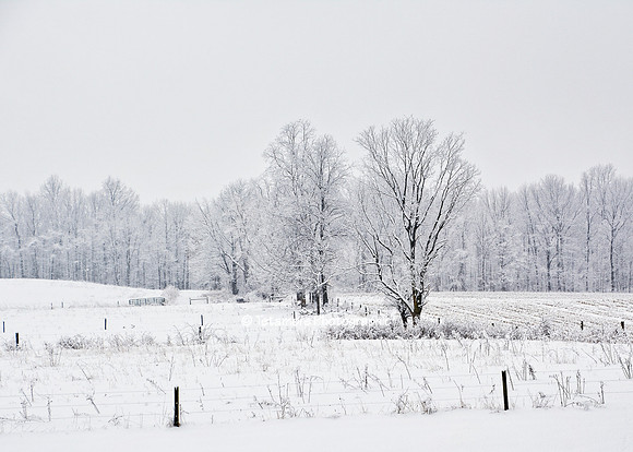 Snow White