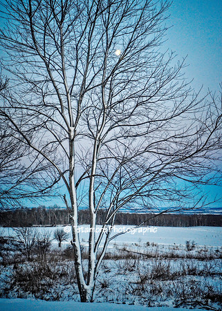 Snowy Morning Moon