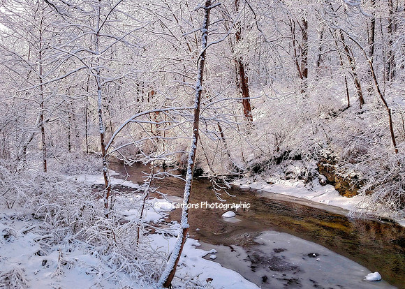 Winter Conesus Creek
