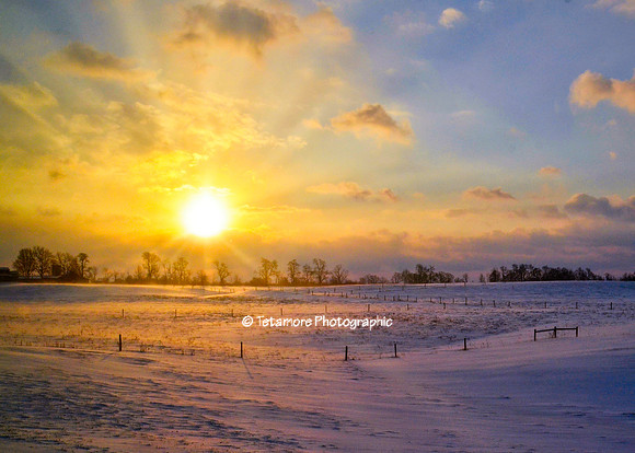 Winter Rays