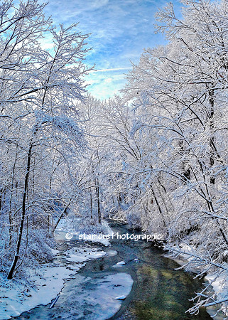 Winter Wonderland