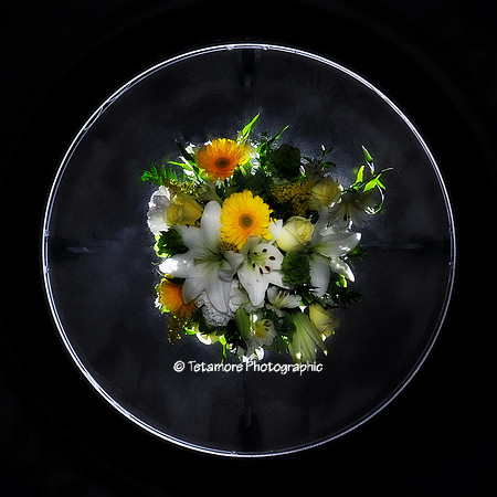 Flowers On Glass
