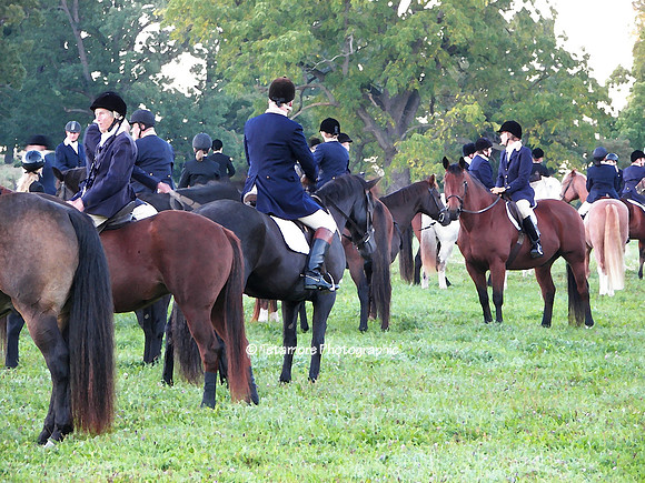 Hunt Morning