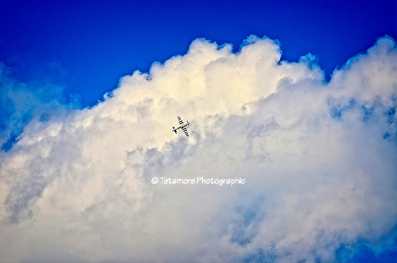 Wild Blue Yonder copy-studio