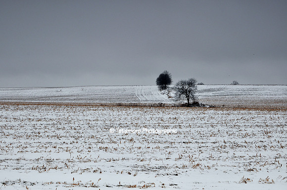Snow Pattern