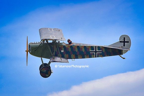 Fokker DVII_6