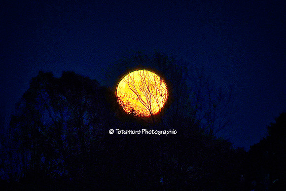 Boo! Moon