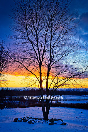 Sunset Layers