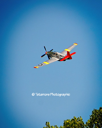 Tuskegee Airmen Red Tail