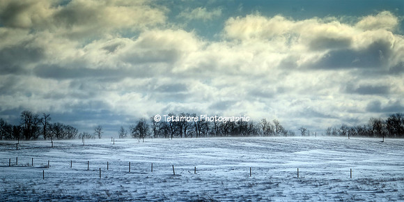 Shades of Blue 2