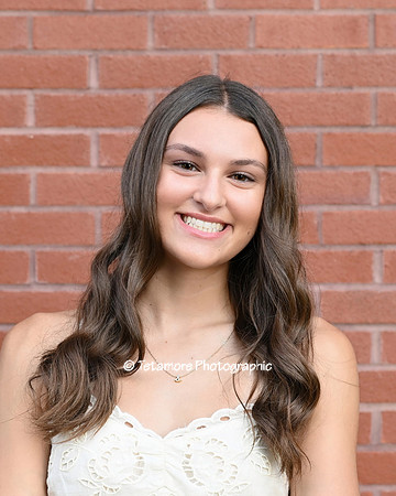 Sierra Whitney 20