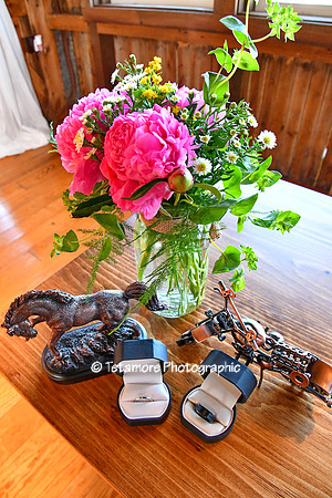 Danielle and Chad Wedding 009