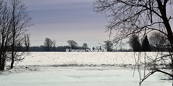 Avon Farm