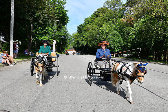 Parade 08