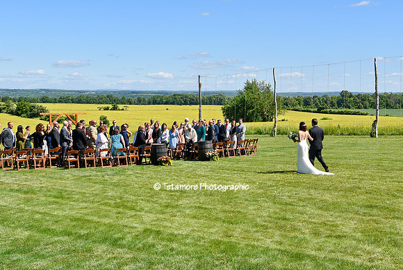 Danielle and Chad Wedding 101