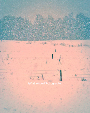 Flurries Afield