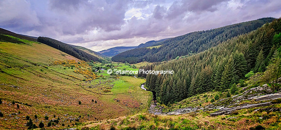 Wicklow Mountains National Park  River Glenmacnass
