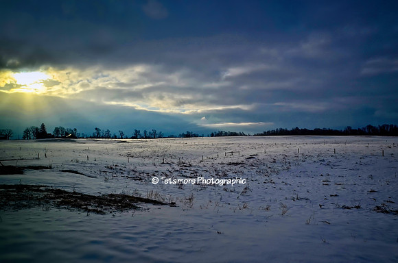Good Morning Winter Sunshine