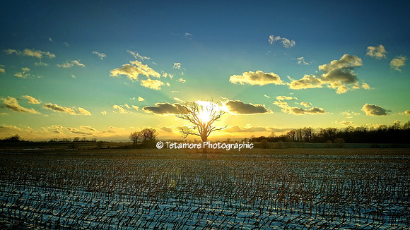 Winter Sunshine