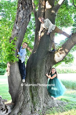 Danielle and Chad Wedding 383