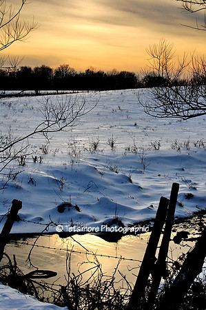 Winter Field Sunset