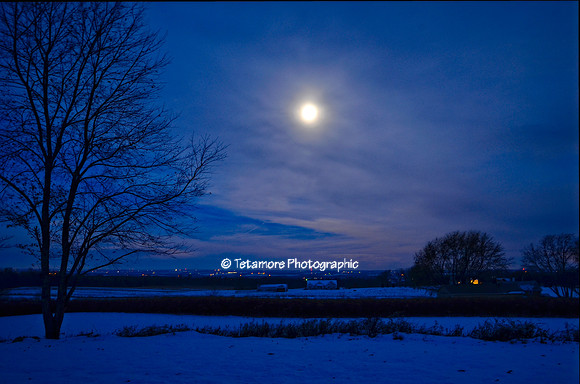 Blue Morning